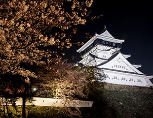 kokura castle night