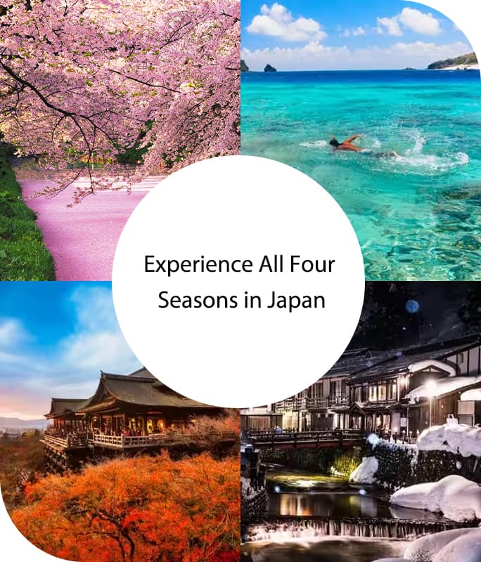 Experience All Four Seasons in Japan