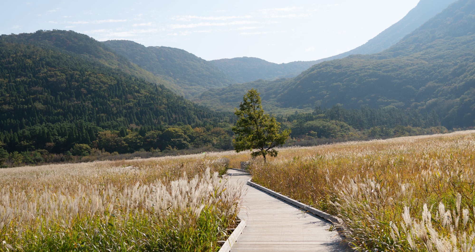OITA, the Onsen Prefecture img5