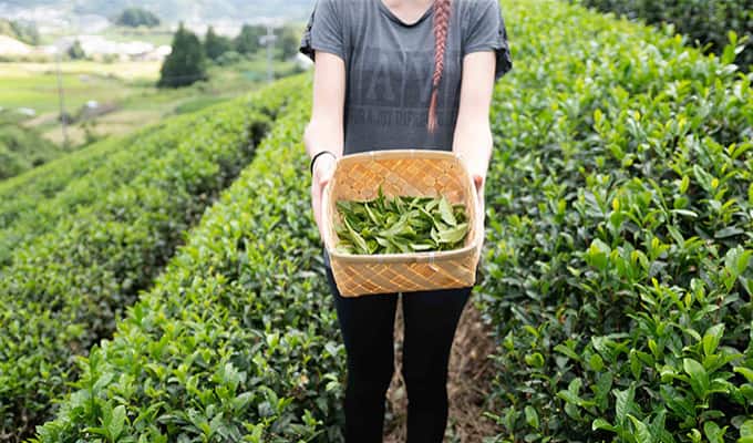 KYOTO, Beyond the City img2