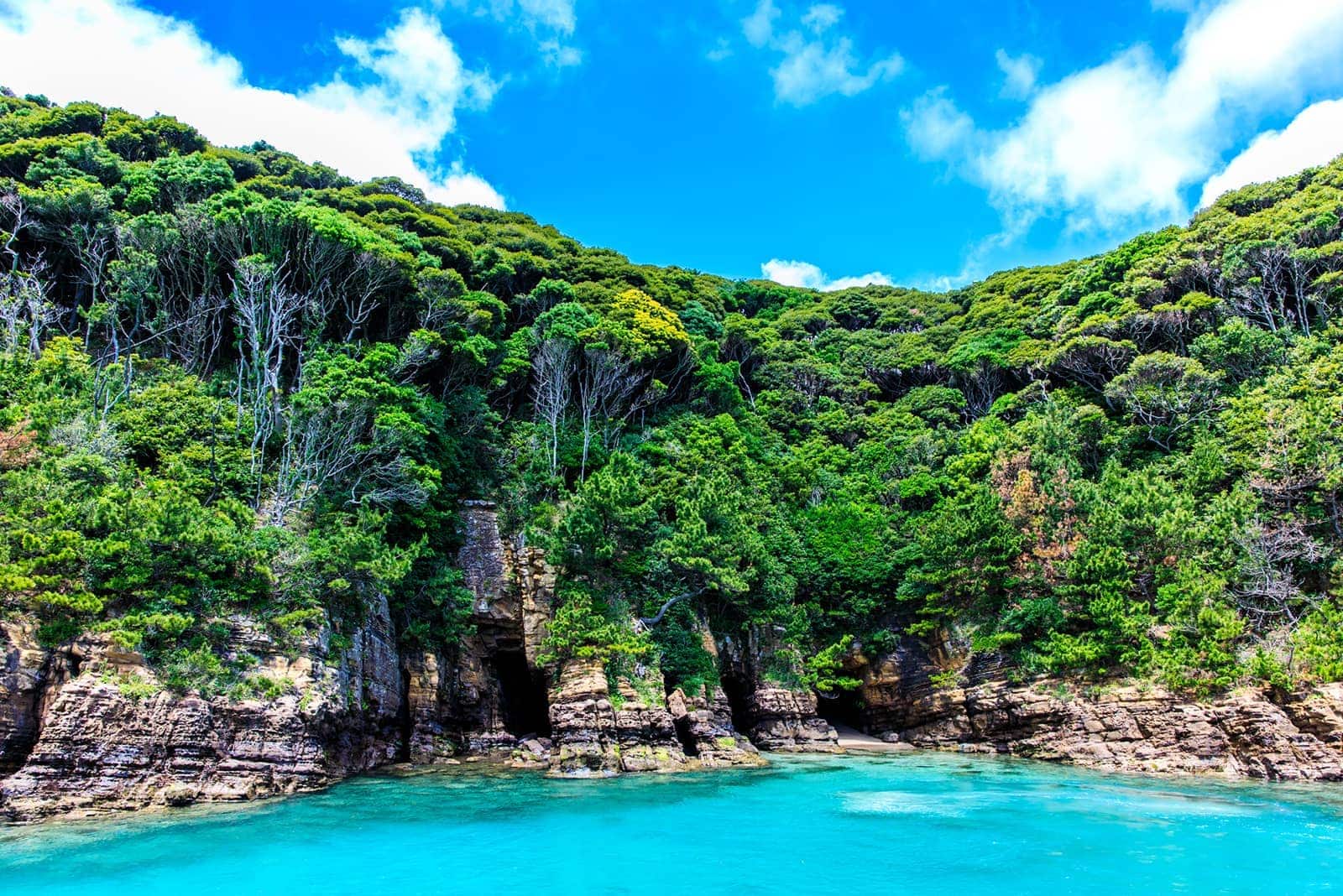 (photo) 壹岐：辰之島 6