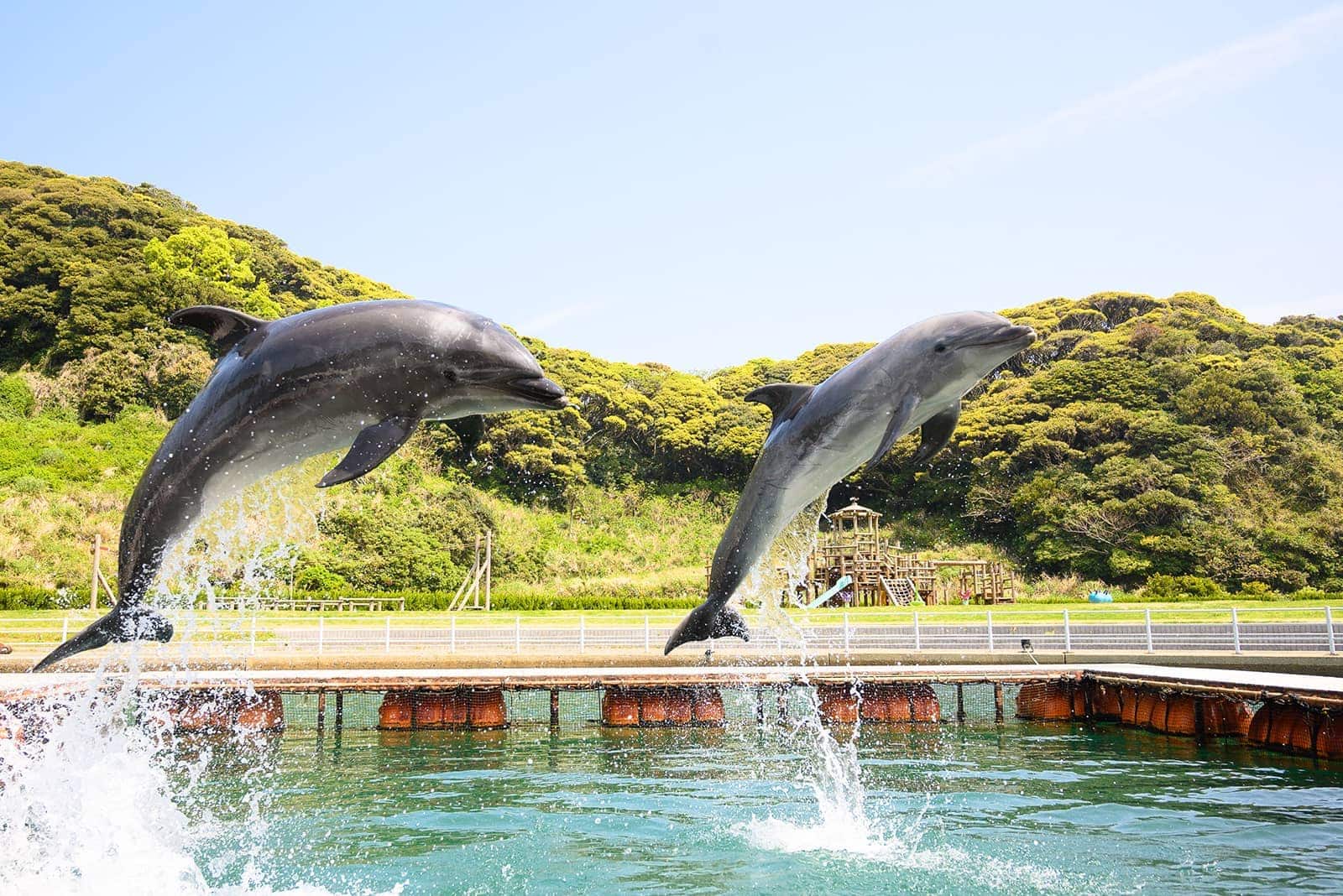 (photo) 壹岐海豚公園及渡假村 1