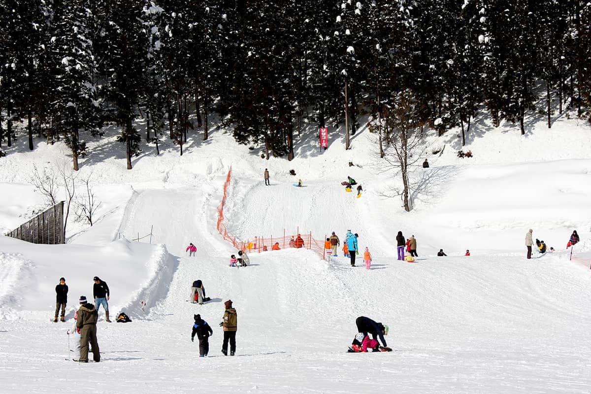 (photo) Takanbo Ski Resort 2
