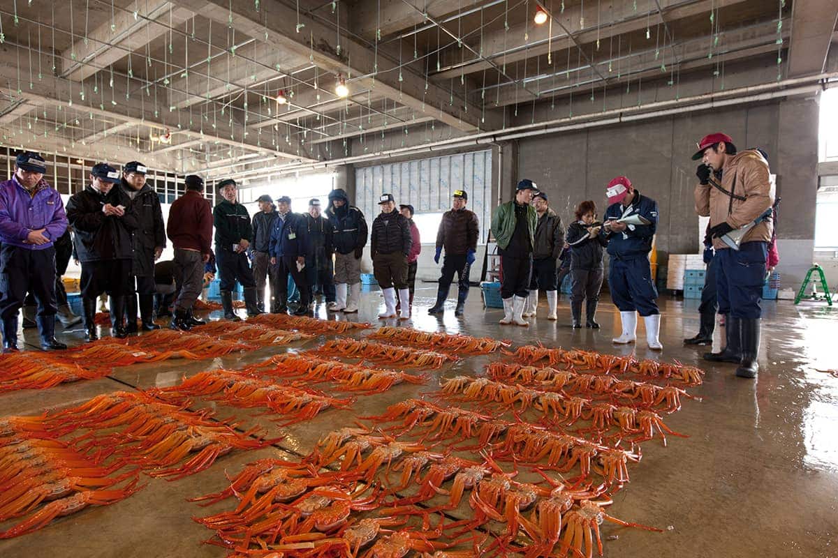 (photo) Shinminato Kitokito Market 3