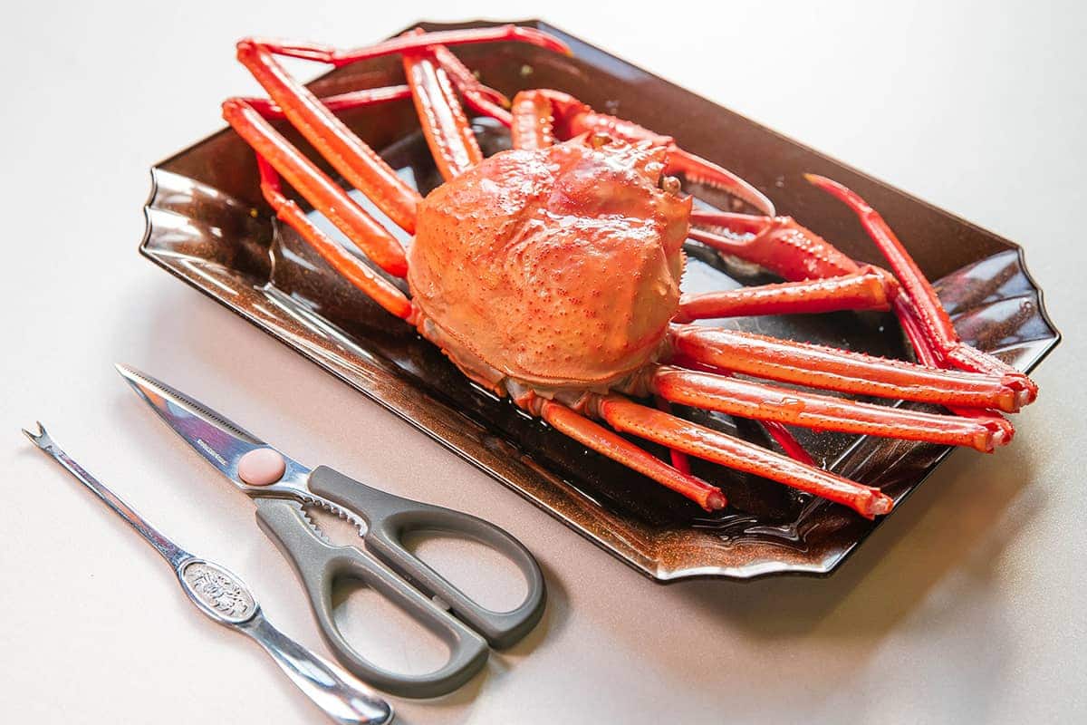 (photo) Shinminato Kitokito Market 6