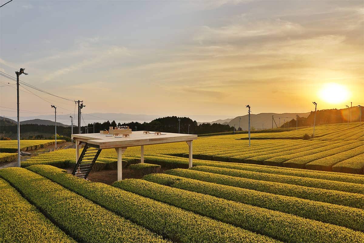 (photo) Ureshino Tea Tourism
 2