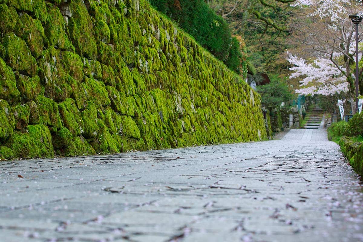 (photo) The Former Chikurin-in 6