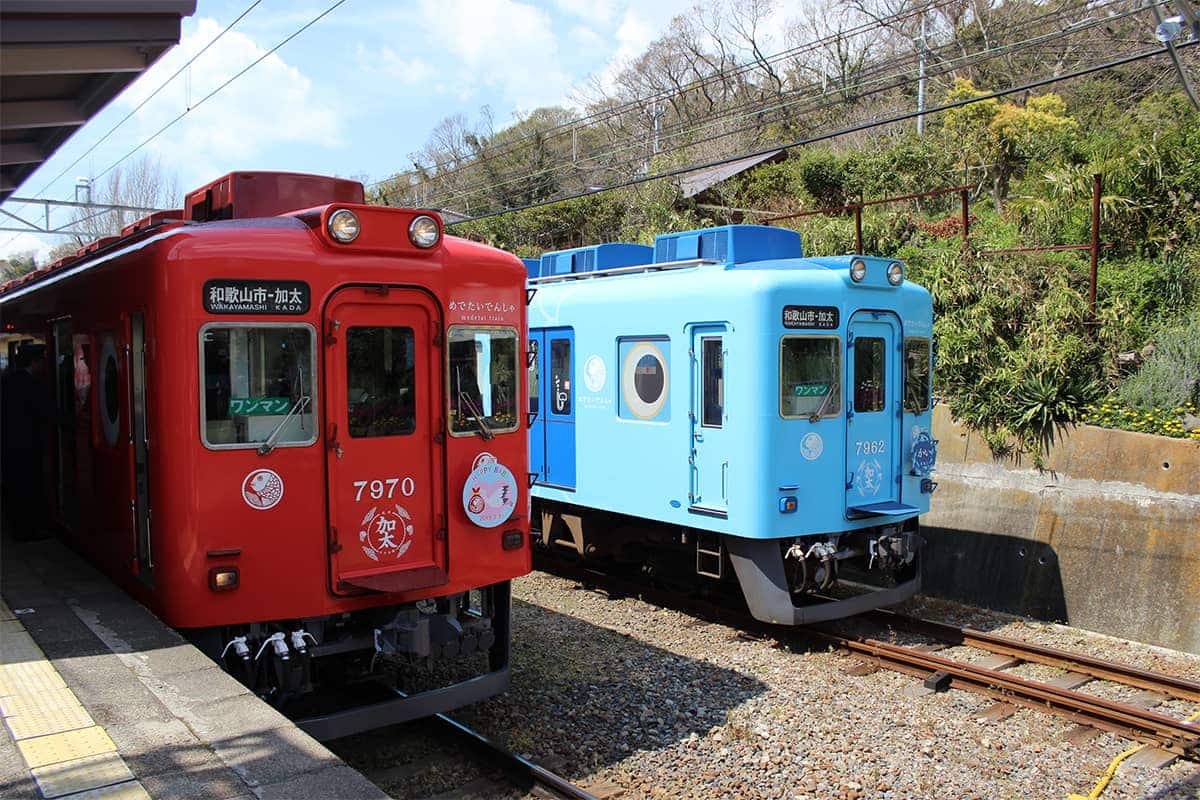 (写真) 加太さかな線「めでたいでんしゃ」 1