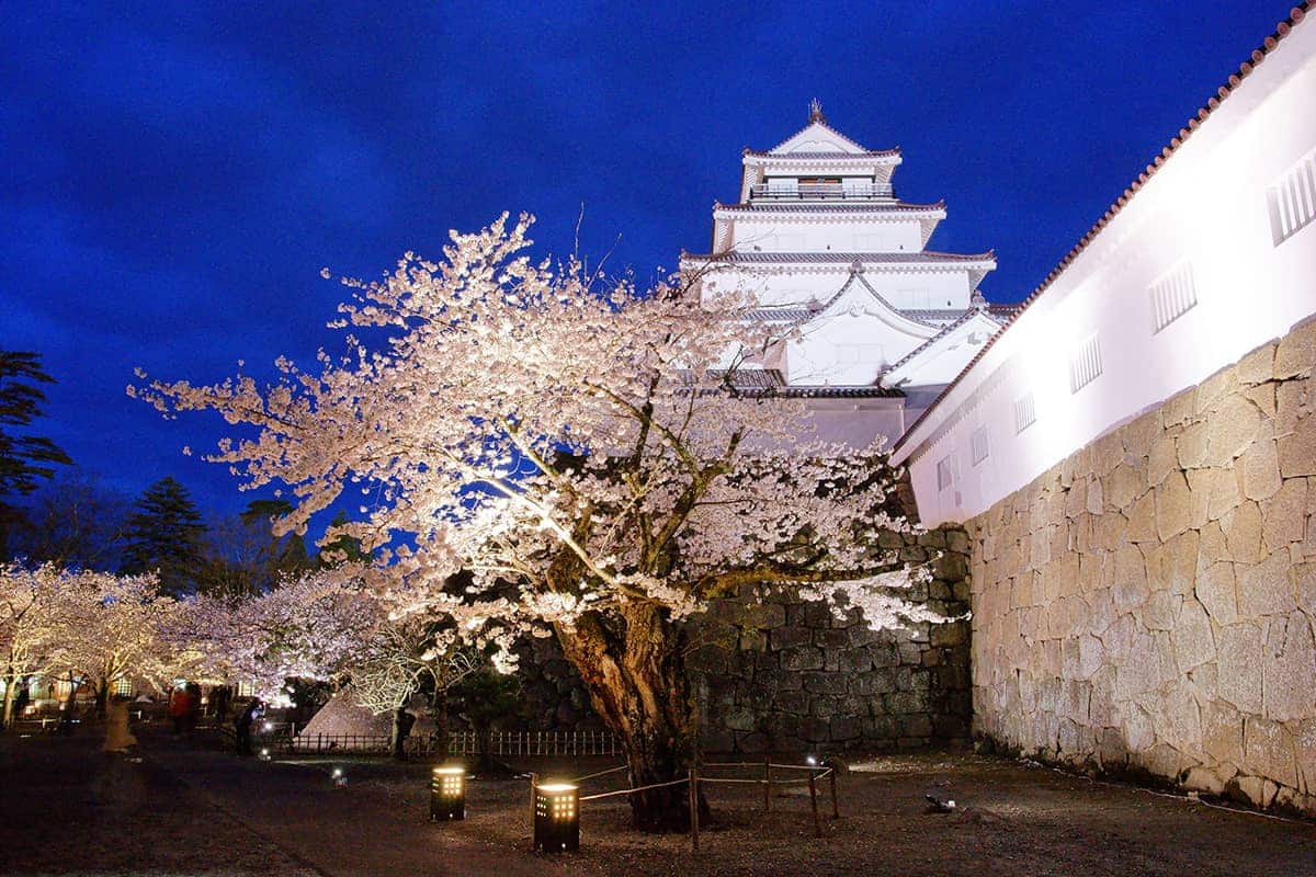(photo) Tsuruga Castle 2