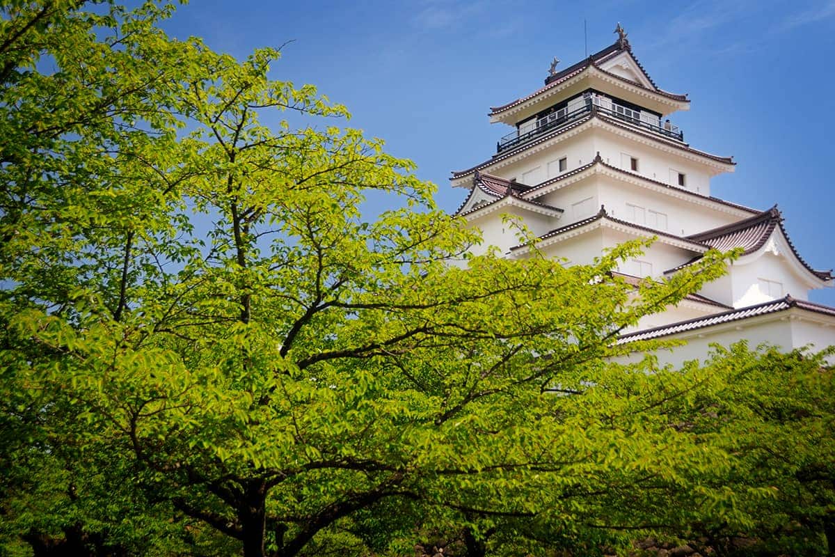 (photo) Tsuruga Castle 3