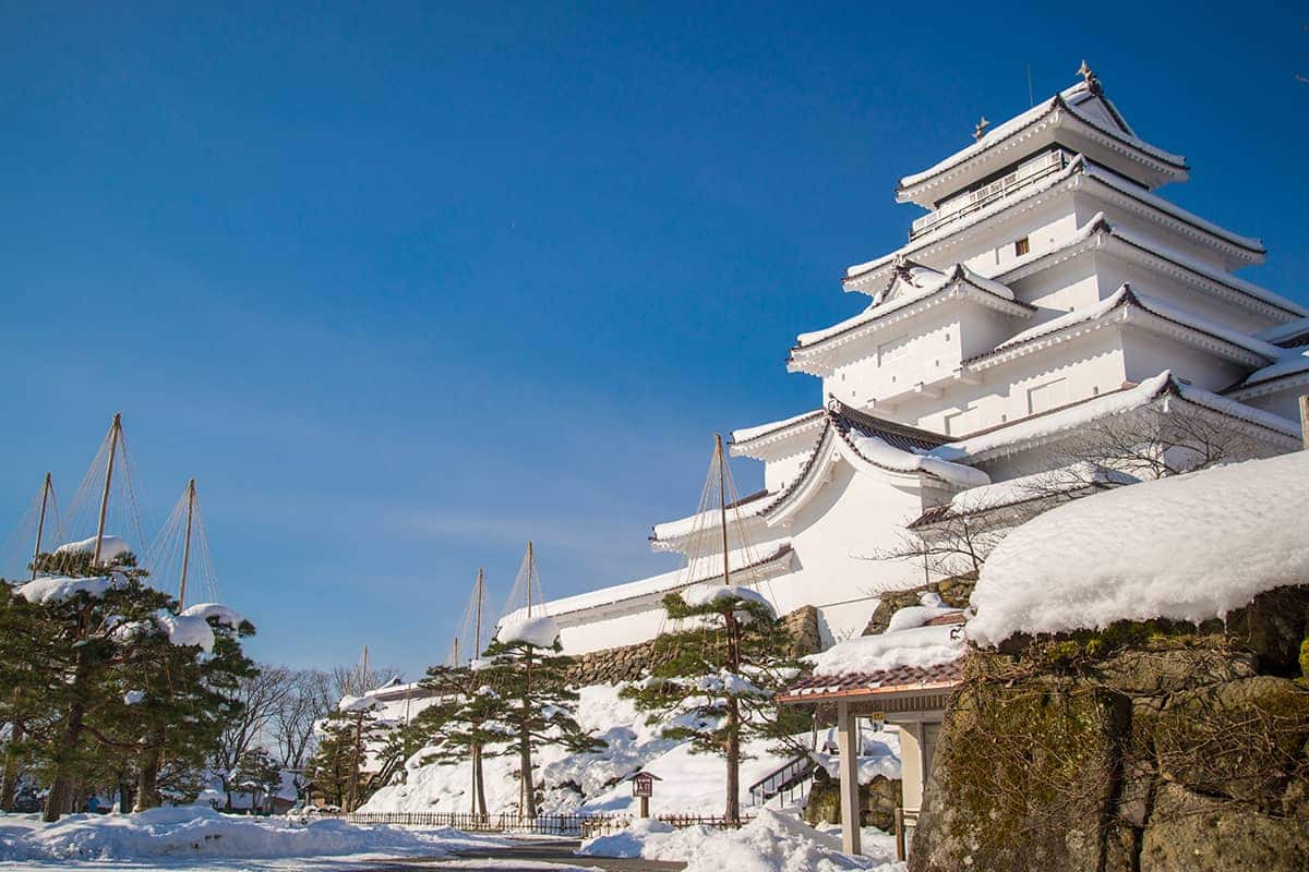 (photo) Tsuruga Castle 5
