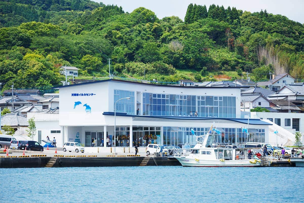 (photo) Amakusa Dolphin Pia 3