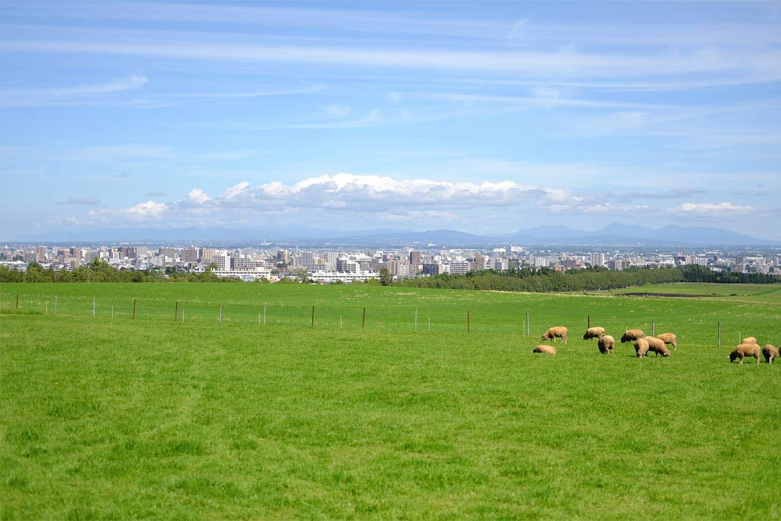 (photo) Sapporo Hitsujigaoka Observation Deck 3