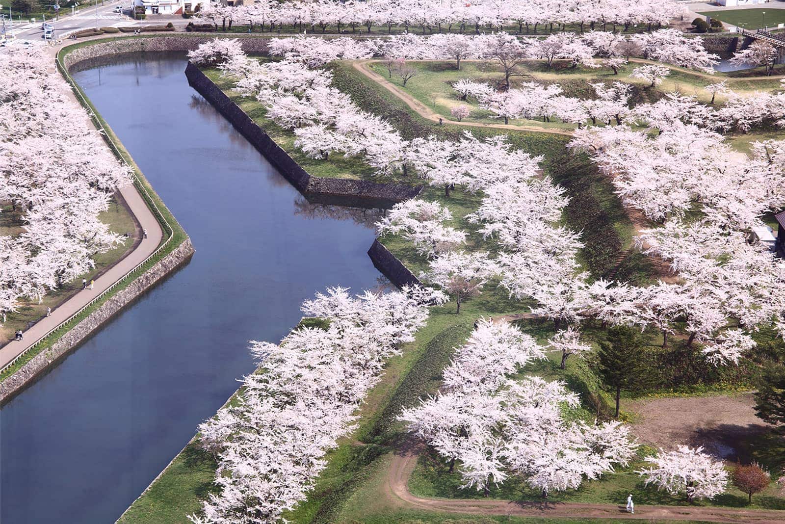 (photo) Goryokaku (Five-Sided Fort) 2