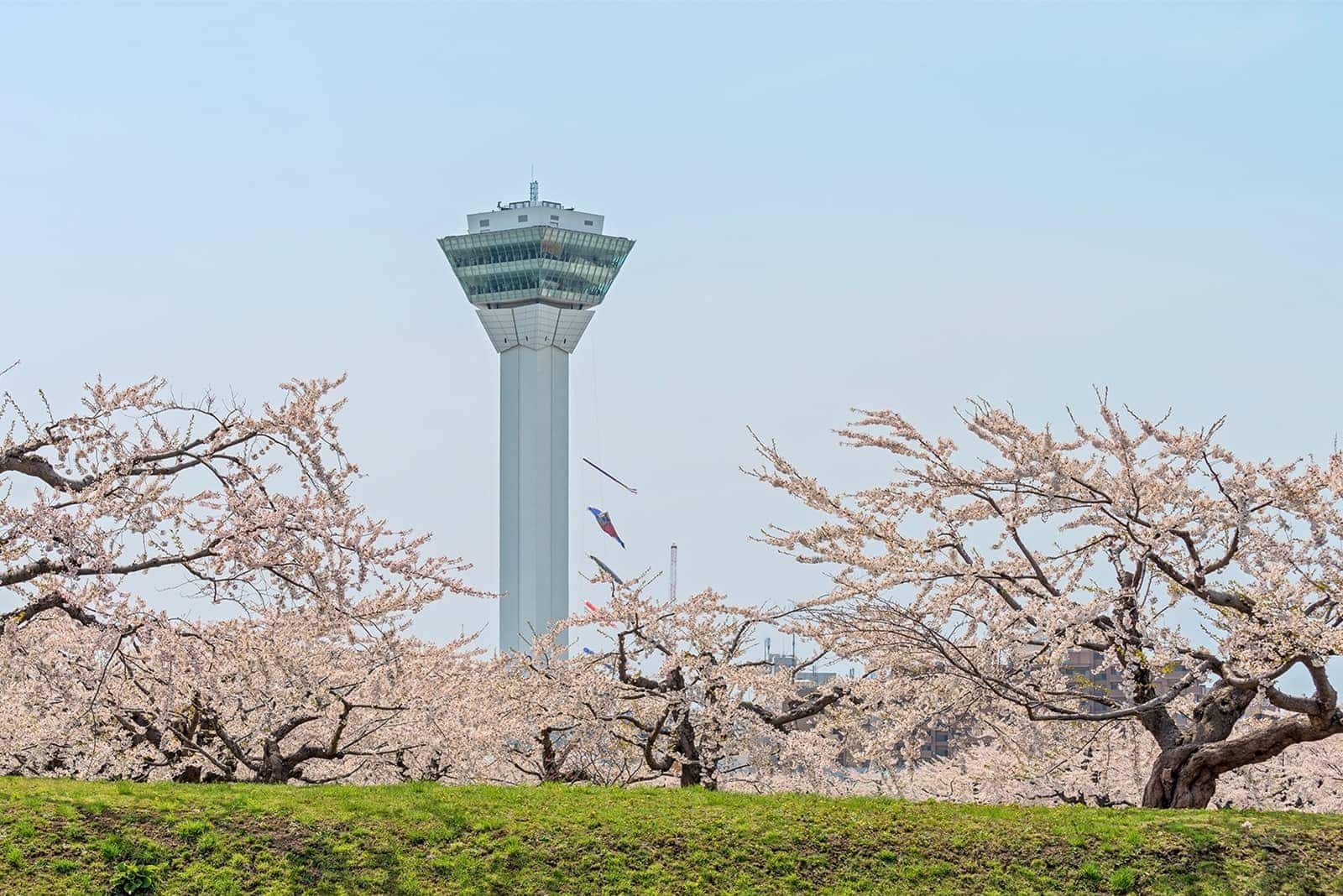 (photo) Goryokaku (Five-Sided Fort) 3