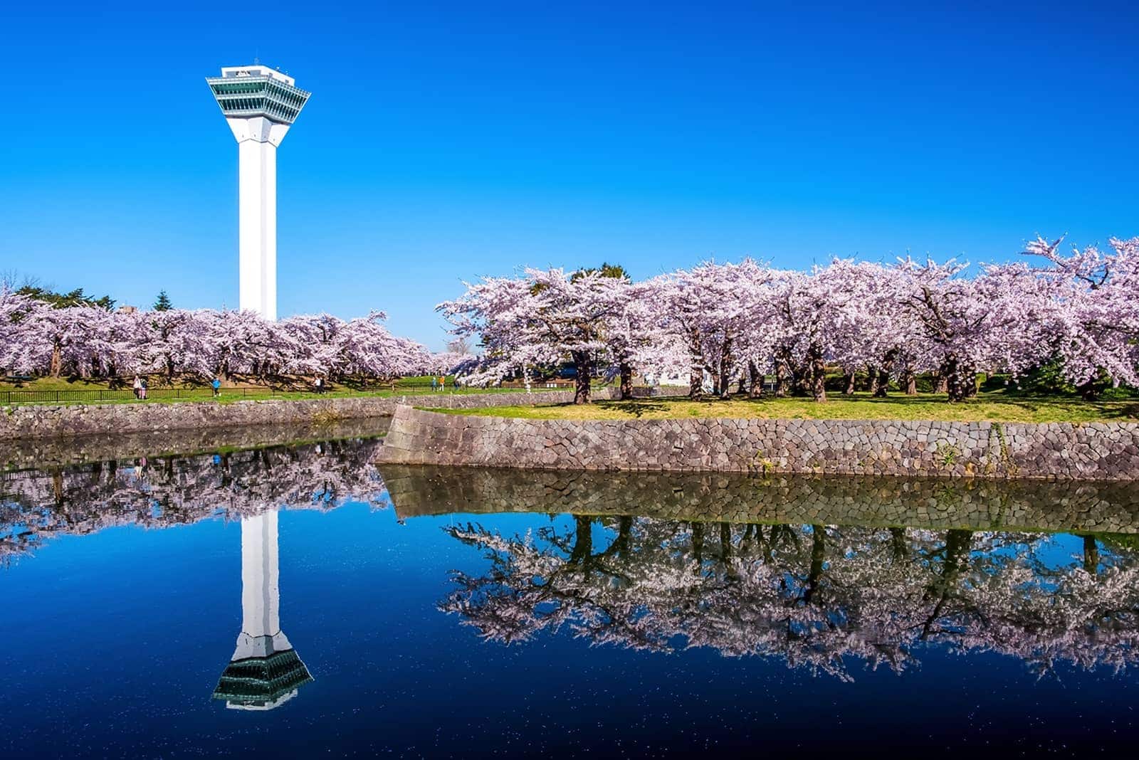 (photo) Goryokaku (Five-Sided Fort) 4
