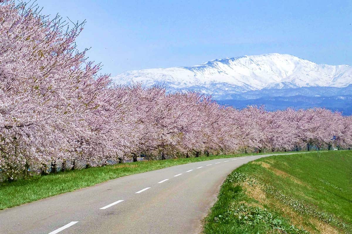 (photo) Three Mountains of Dewa (Dewa Sanzan) 5