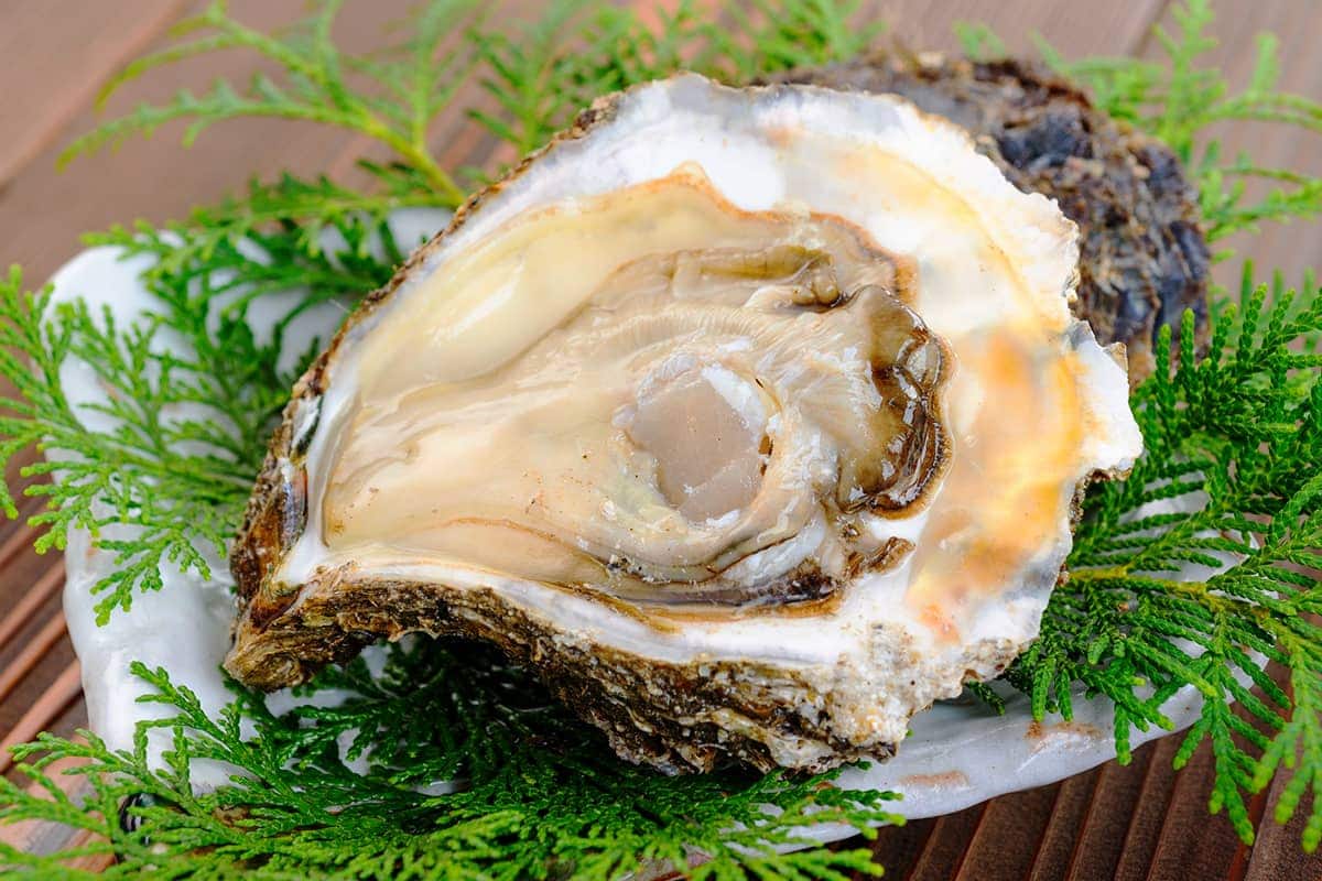 (photo) Roadside Station Chokai Furatto 1