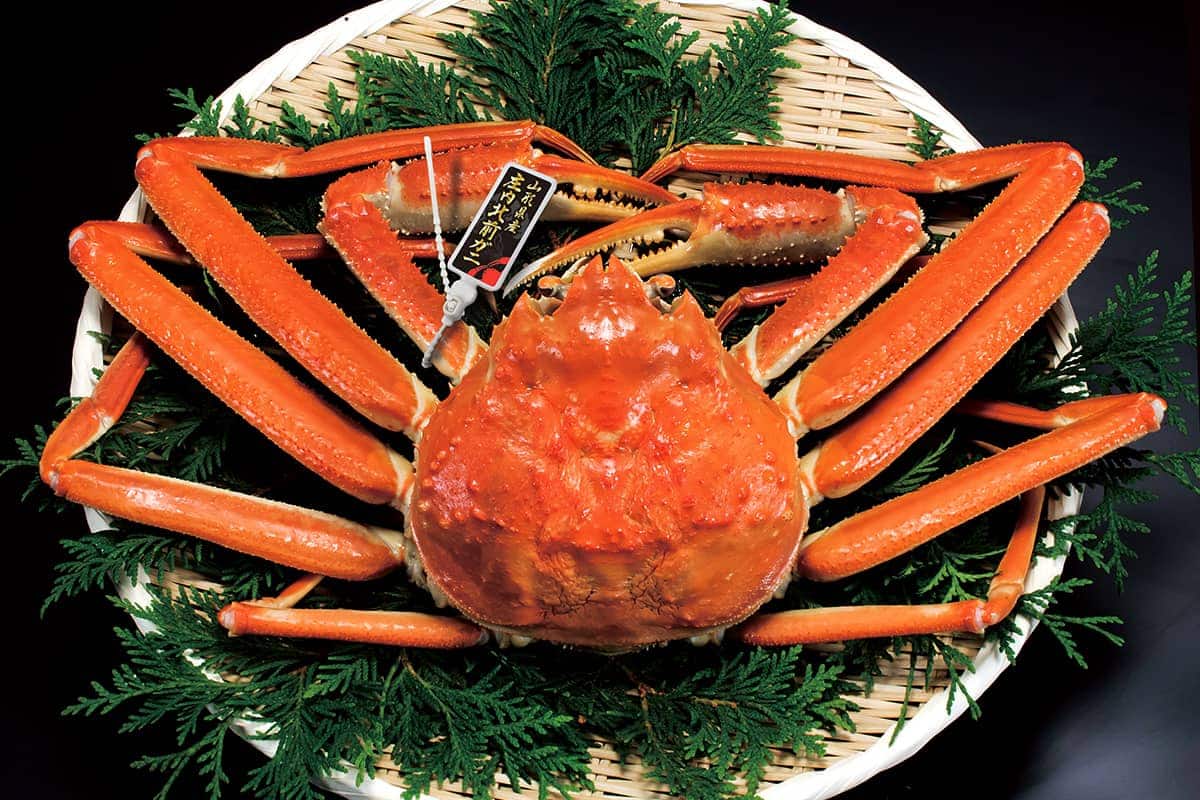 (photo) Roadside Station Chokai Furatto 2