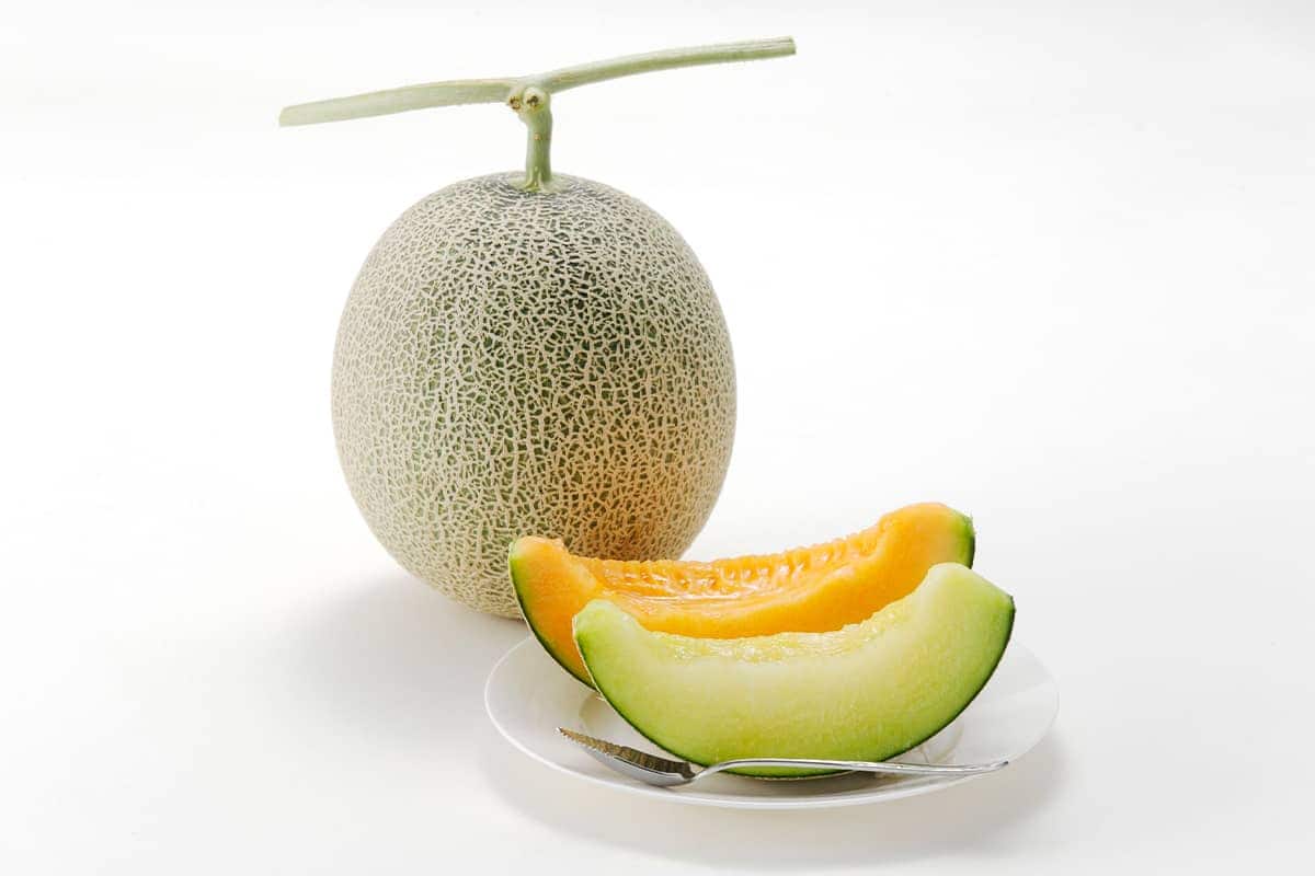 (photo) Roadside Station Chokai Furatto 4