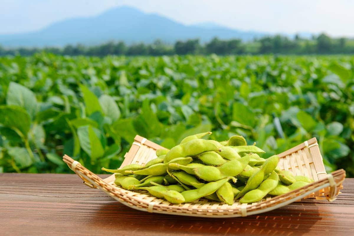 (photo) Roadside Station Chokai Furatto 5