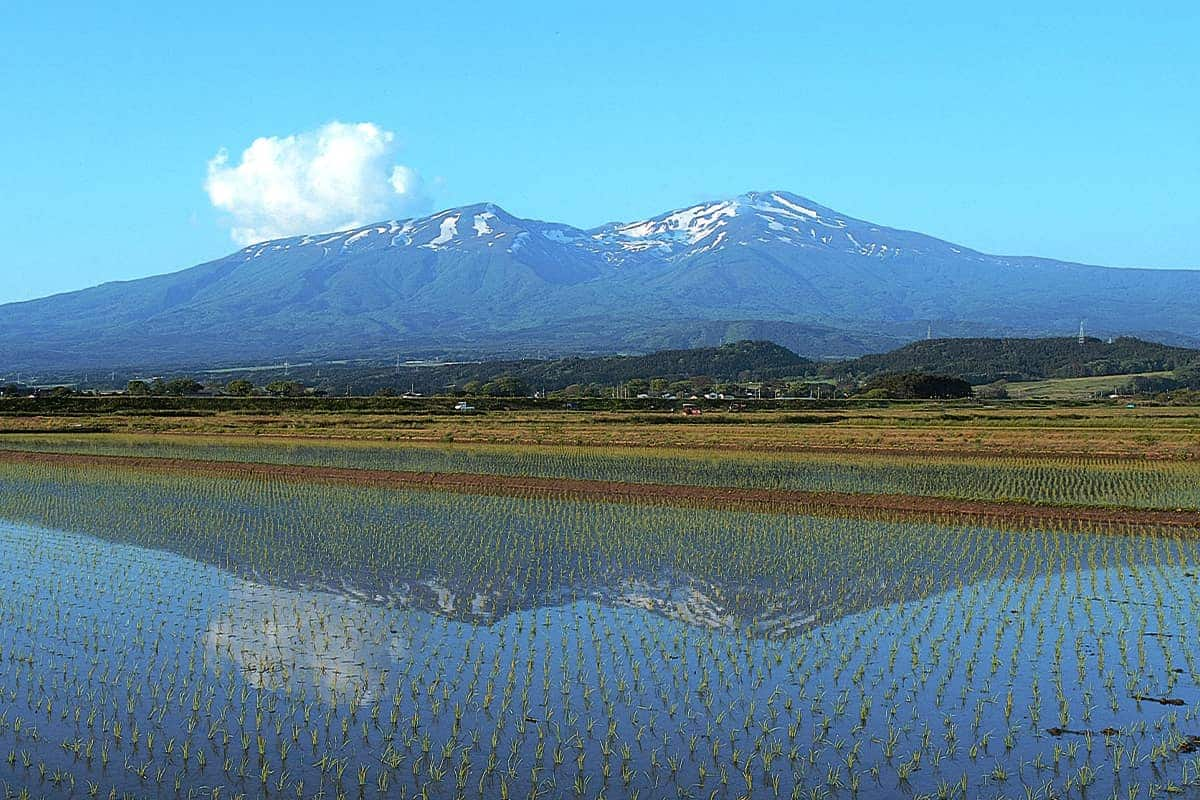 Yamagata Shonai And Akita Enjoy Nature At Mount Haguro And Mount Chokai Ana