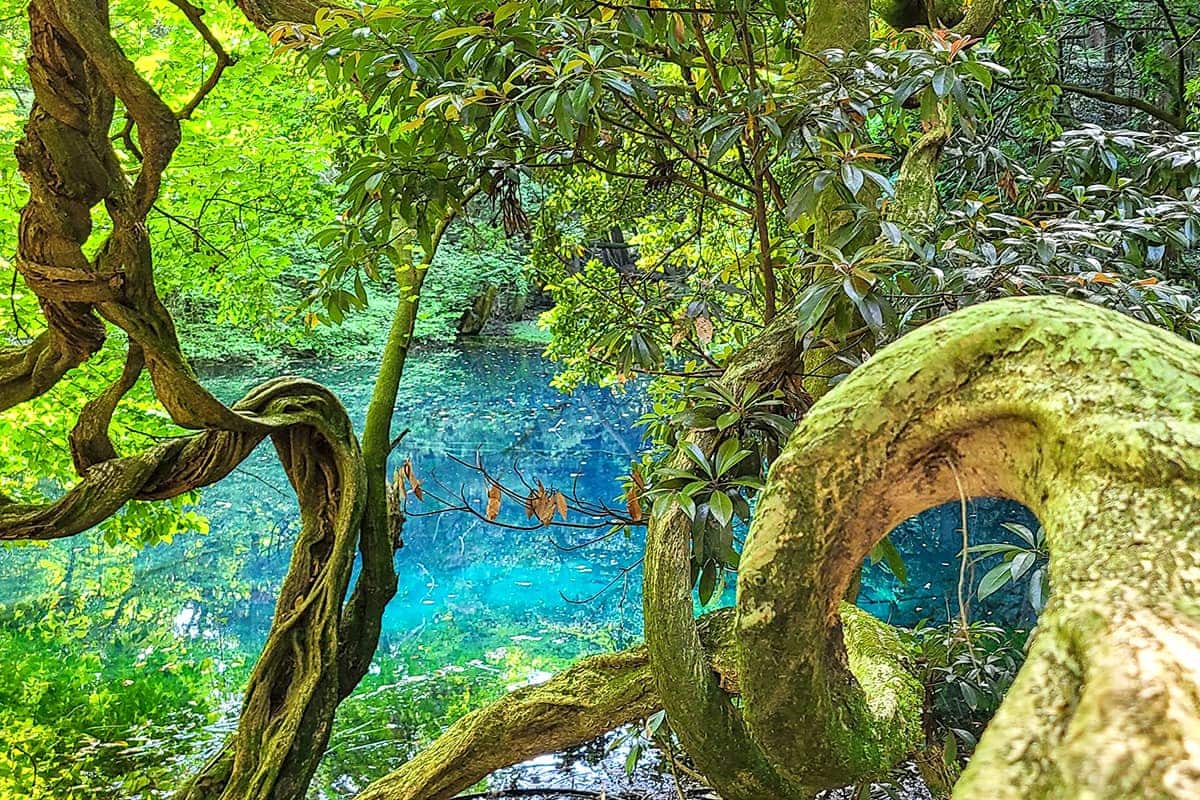 (photo) Mototaki Underflow and Mount Chokai 3