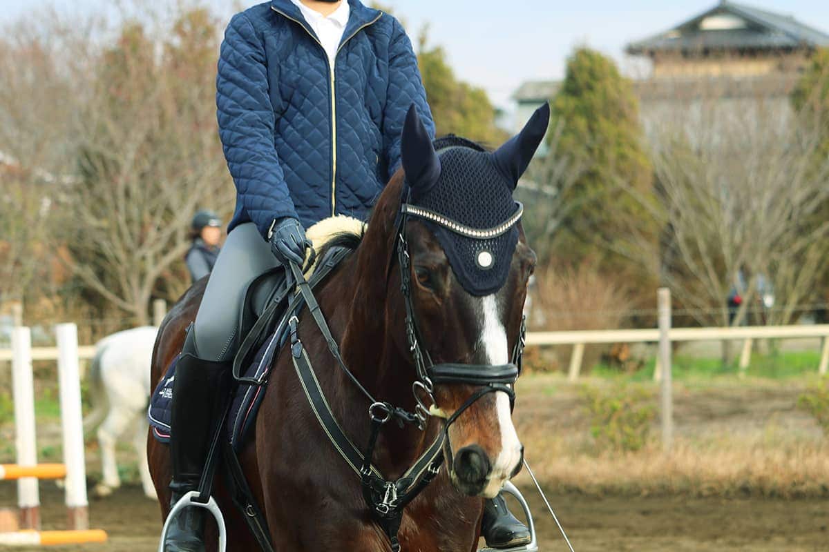 (photo) 도미사토 호스 파크 2