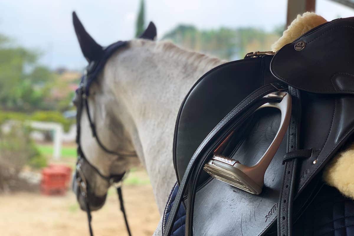 (photo) 도미사토 호스 파크 4