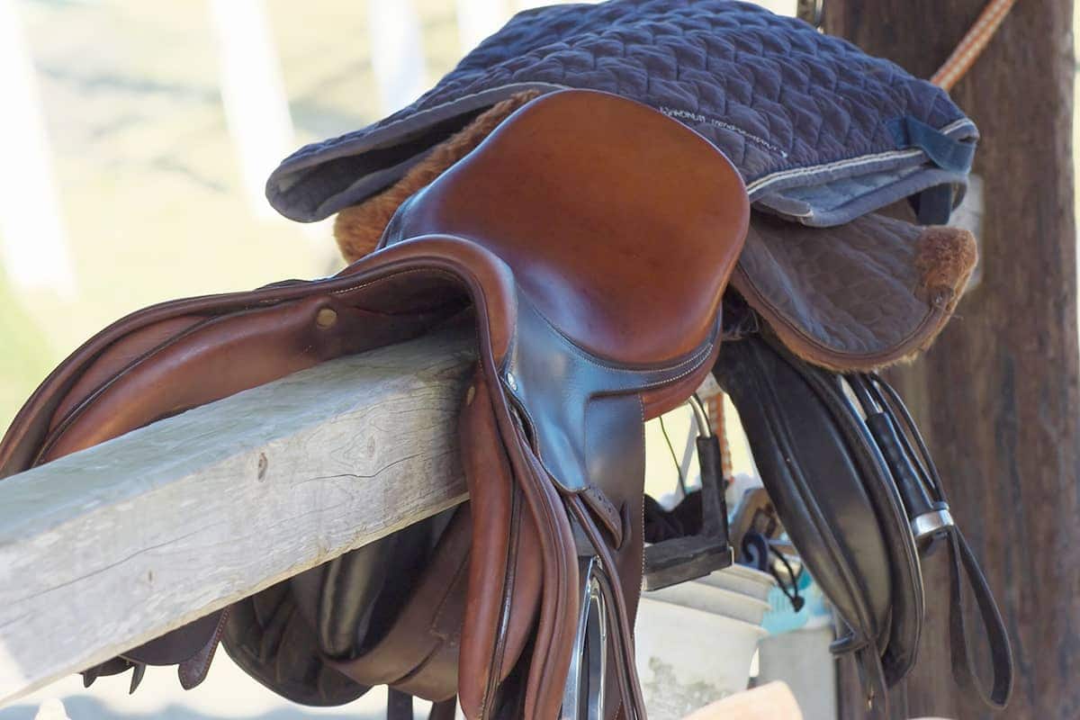 (photo) 도미사토 호스 파크 5