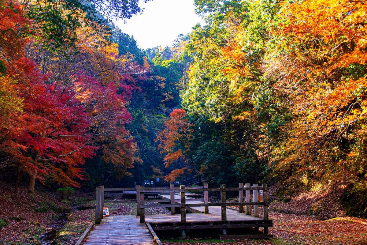 (photo) 노미조 폭포, 가메이와 동굴 5