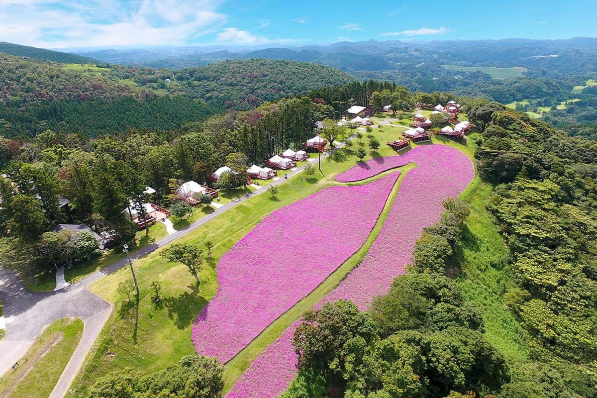 (photo) 마더 목장 5