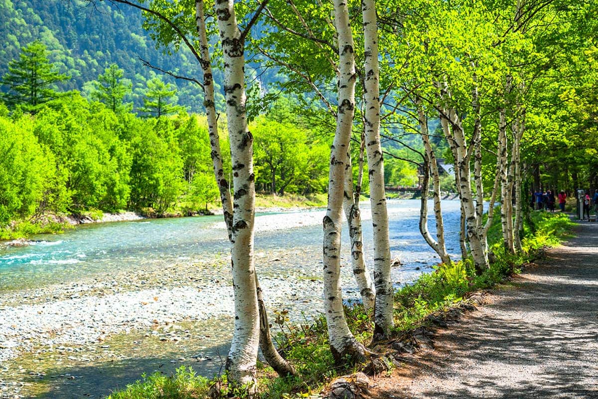(photo) Kamikochi 3