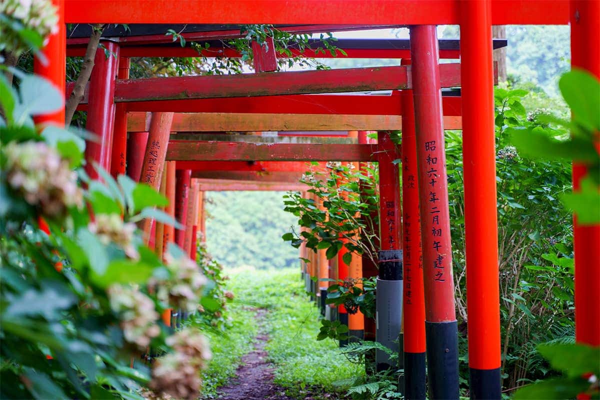 (photo) Fushimi Hakuseki Inari Shrine 1