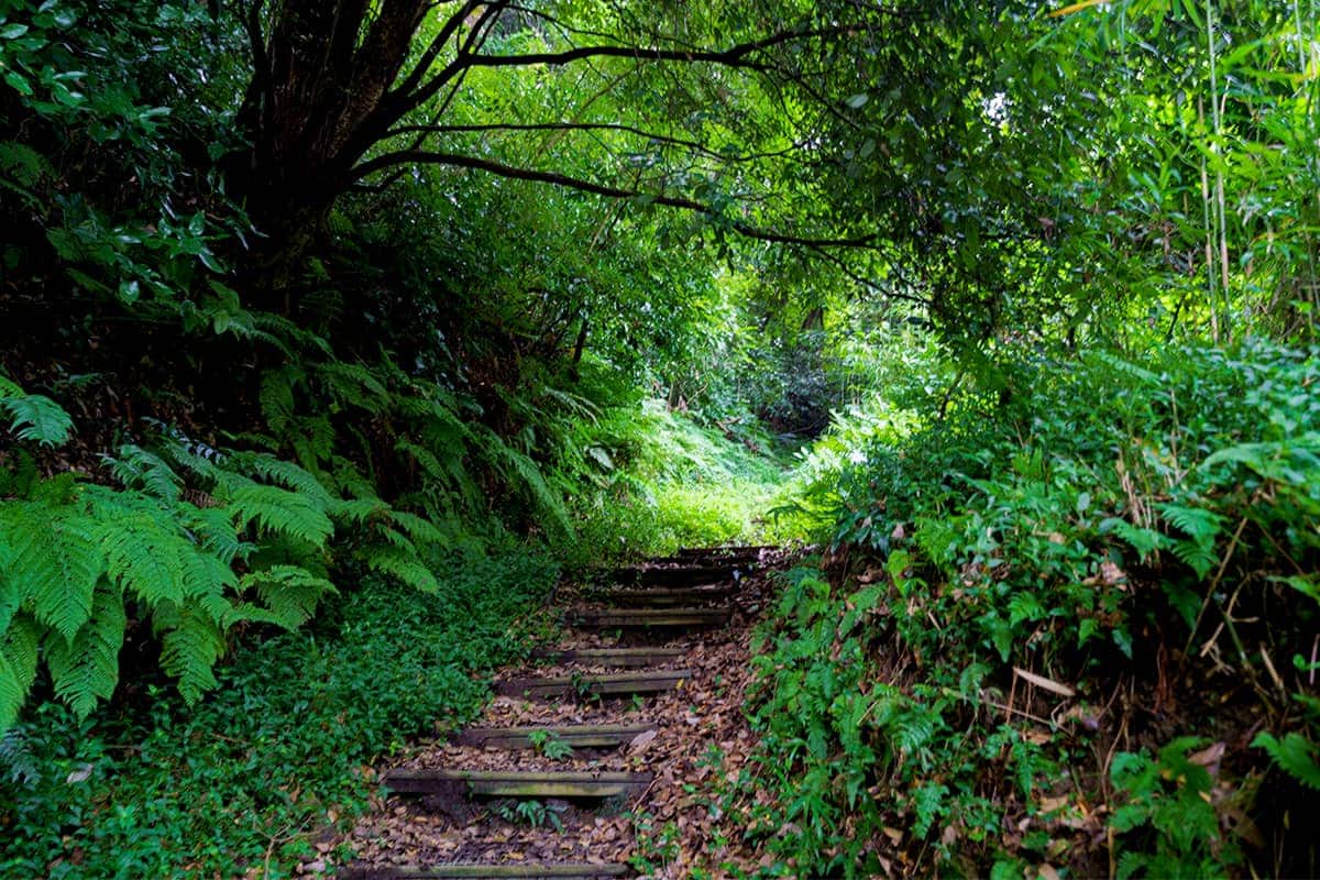 (photo) Fushimi Hakuseki Inari Shrine 3