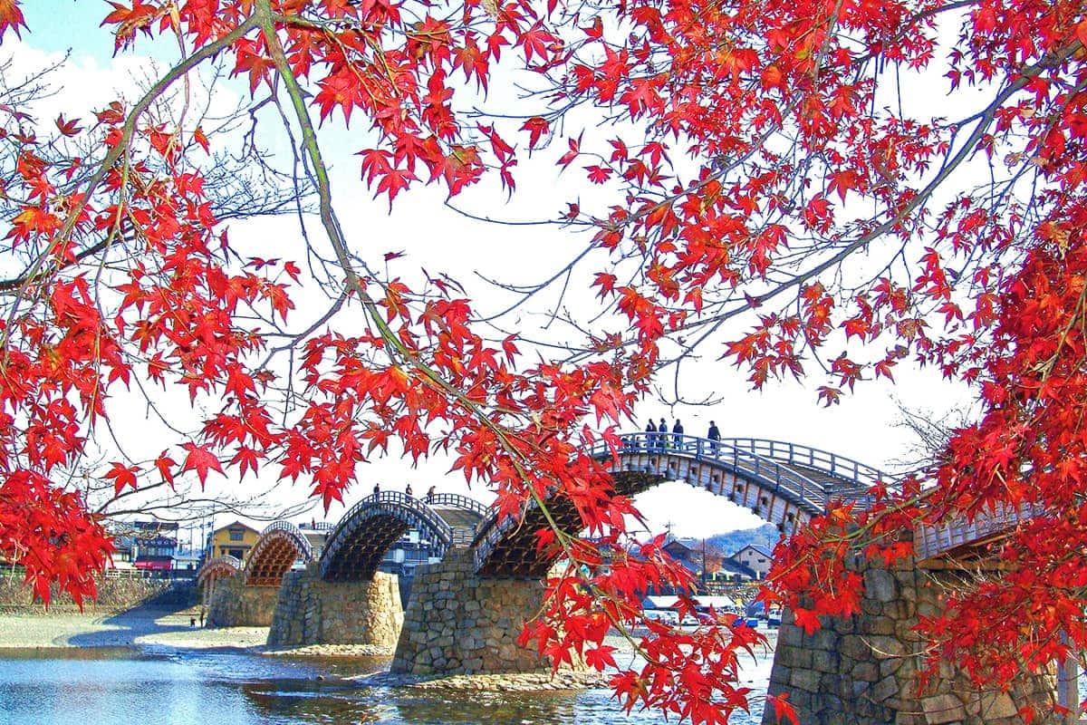 (photo) Kintaikyo Bridge 3