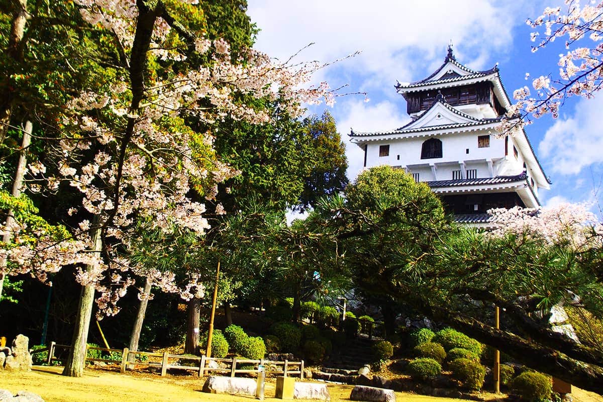 (photo) Iwakuni Castle 2