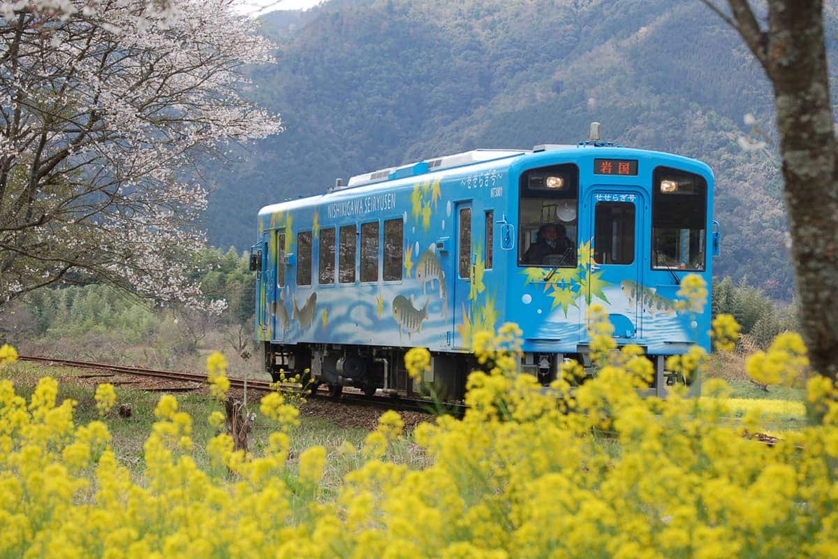 (photo) Nishikigawa Seiryu Line and Tokotoko Train 3