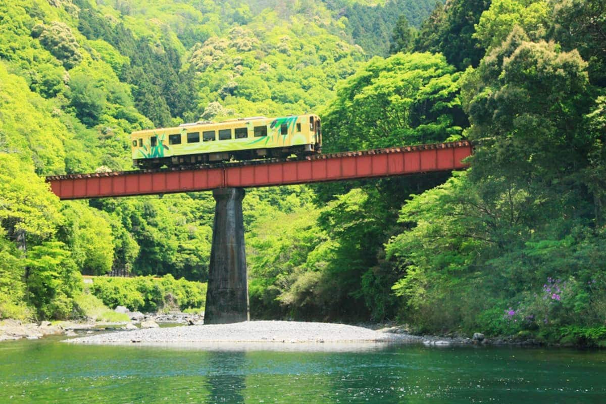 (photo) Nishikigawa Seiryu Line and Tokotoko Train 4