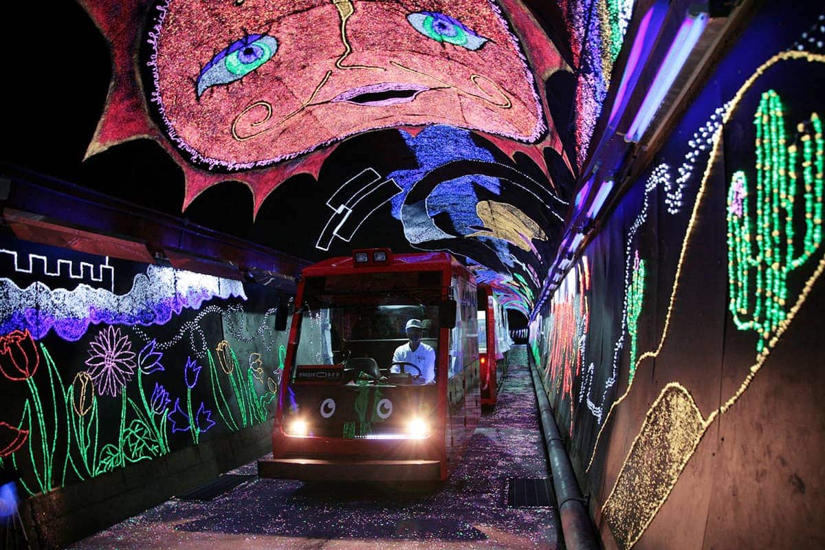 (photo) Nishikigawa Seiryu Line and Tokotoko Train 6