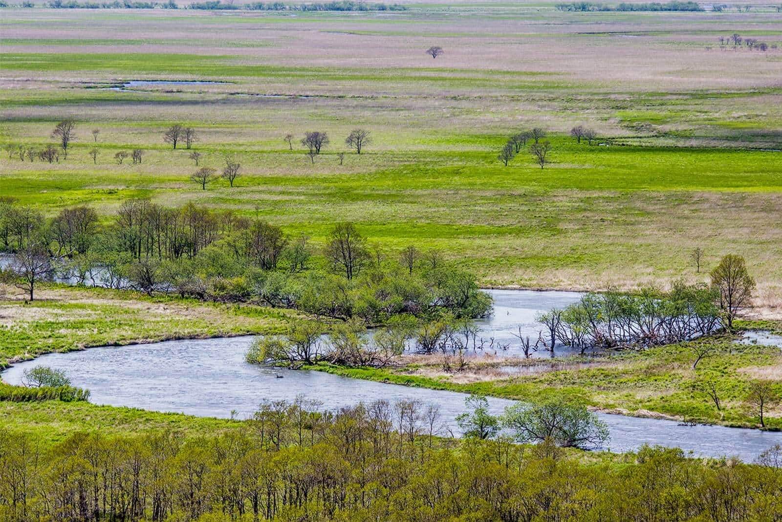 (photo) Kushiroshitsugen National Park 4