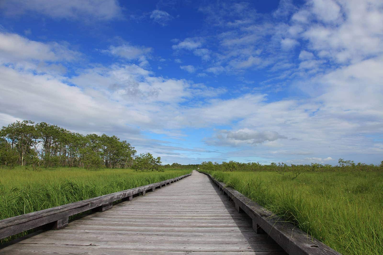 (photo) Kushiroshitsugen National Park 6