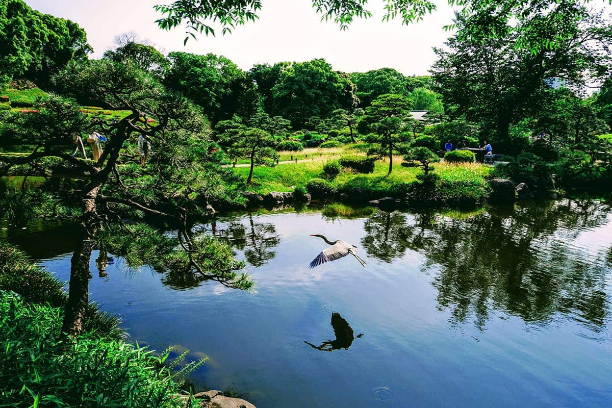 (photo) Kiyosumi Shirakawa 2