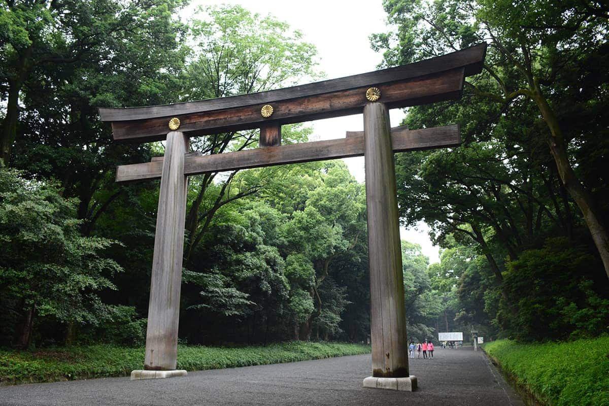 (photo) Meiji Jingu Shrine 2