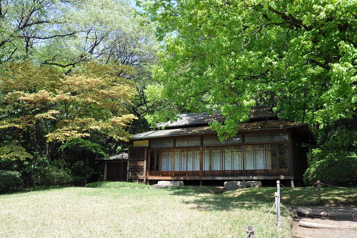 (photo) Meiji Jingu Shrine 5