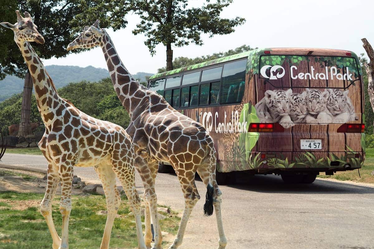 (photo) Himeji Central Park 1