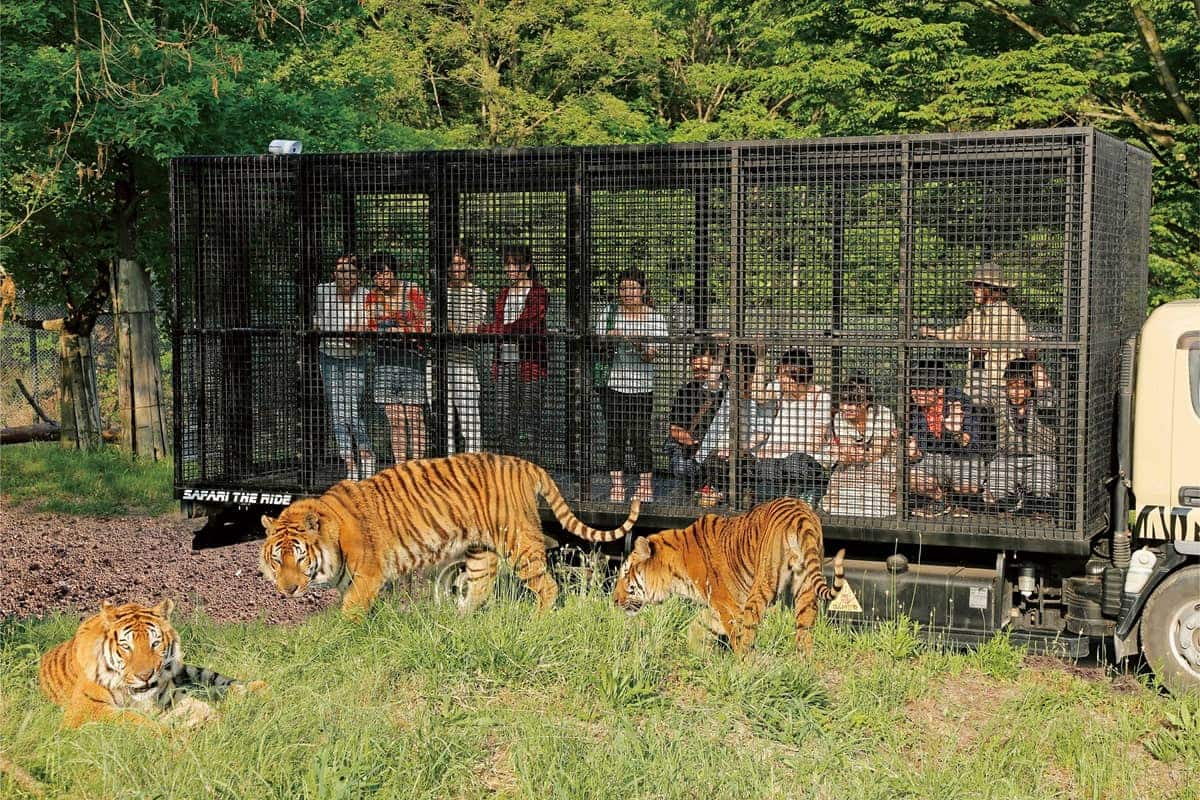 (photo) Himeji Central Park 2