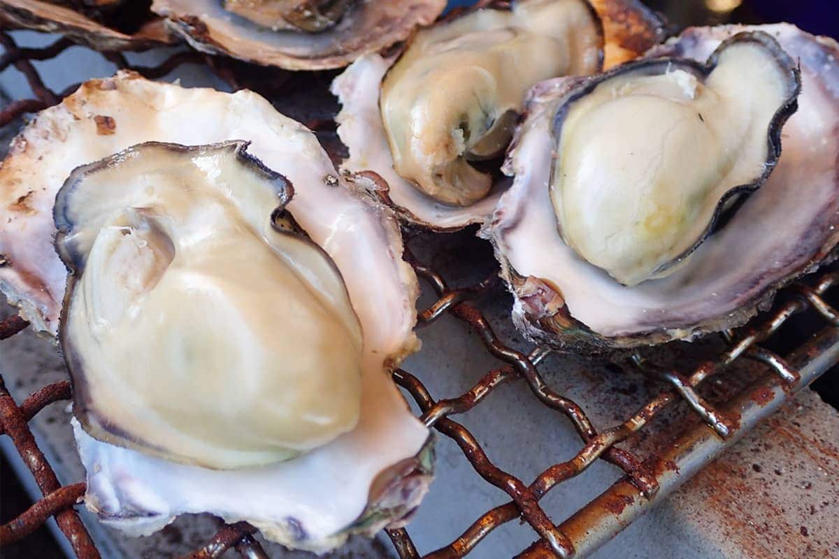 (photo) Fresh seafood from the Harima-nada Sea and local specialties 6