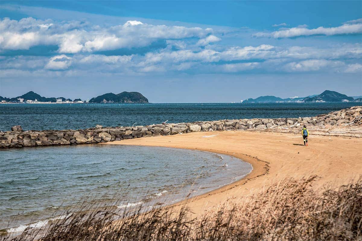 (写真) 鳥羽マリンターミナル
 5
