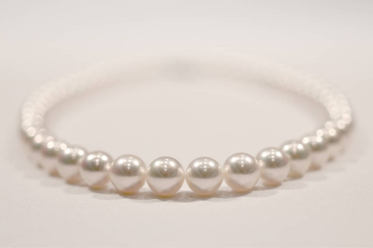 (写真) ミキモト真珠島 3